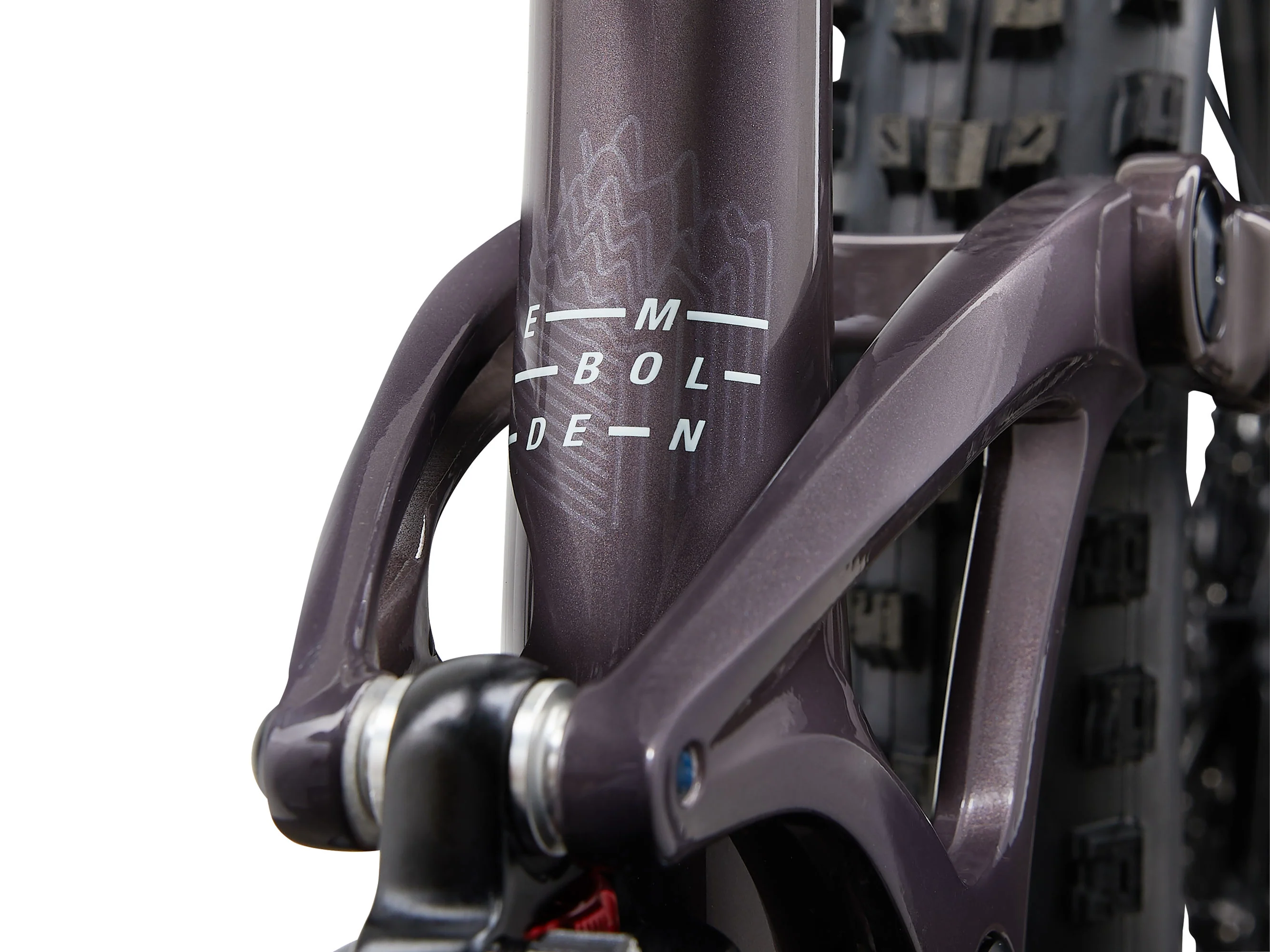 2024 Embolden 1 Full Suspension Mountain Bike - Image 6