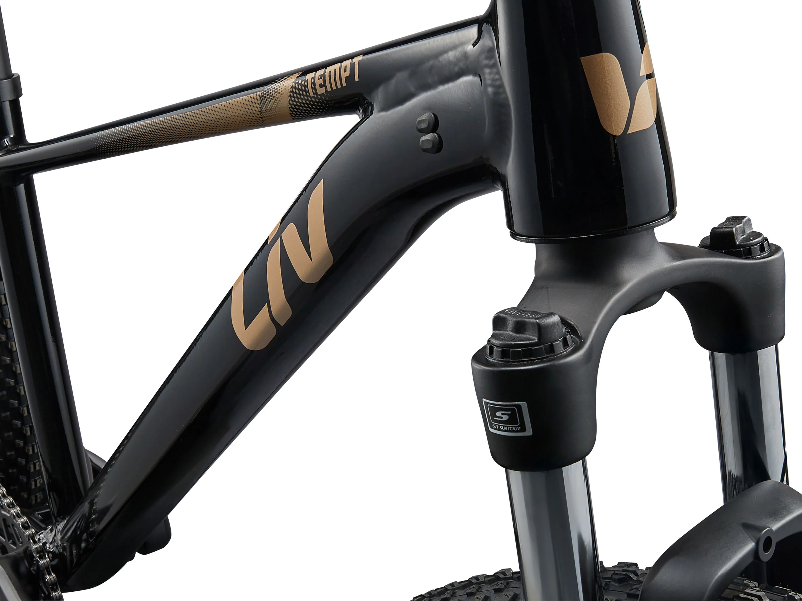 2025 Tempt 4 Hardtail Mountain Bike - Image 8