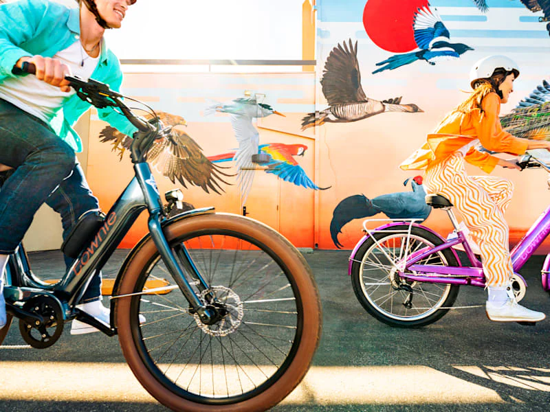 Electra Townie Go! - Image 9