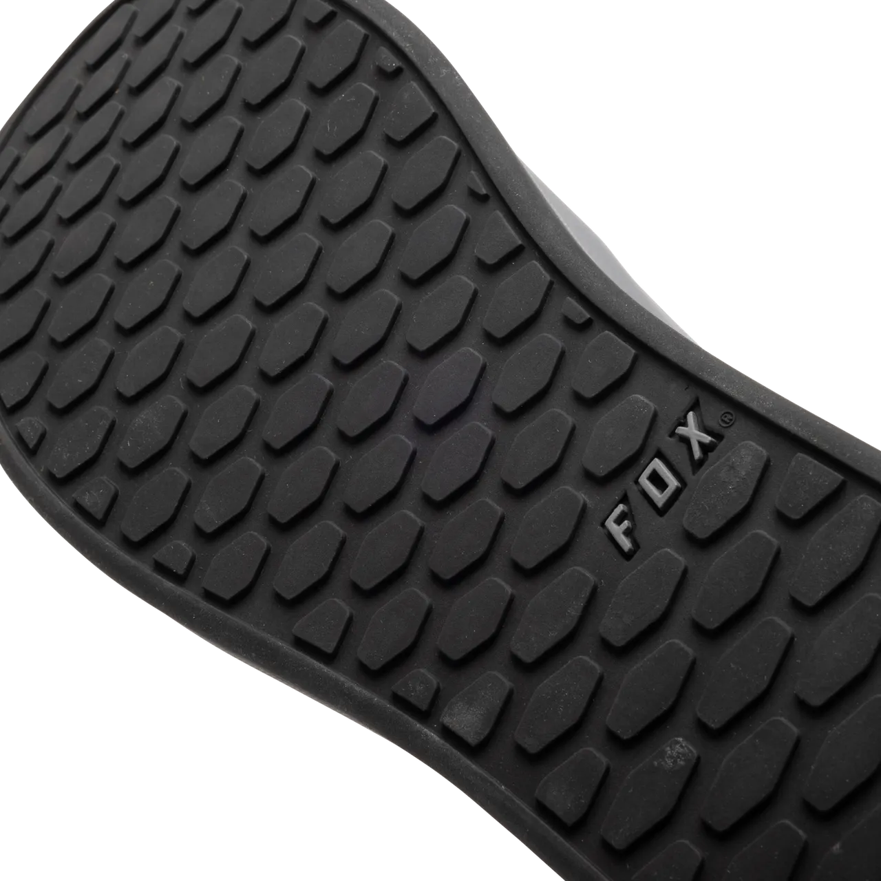 Fox Union Canvas Shoes - Image 33