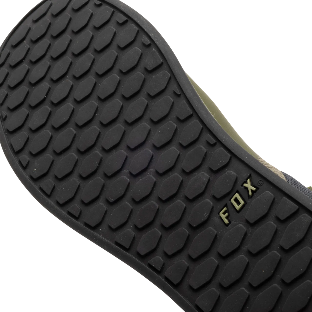 Fox Union Canvas Shoes - Image 48