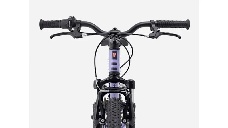 Precaliber 20" 7-Speed 20-Inch Kids Bike - Image 11