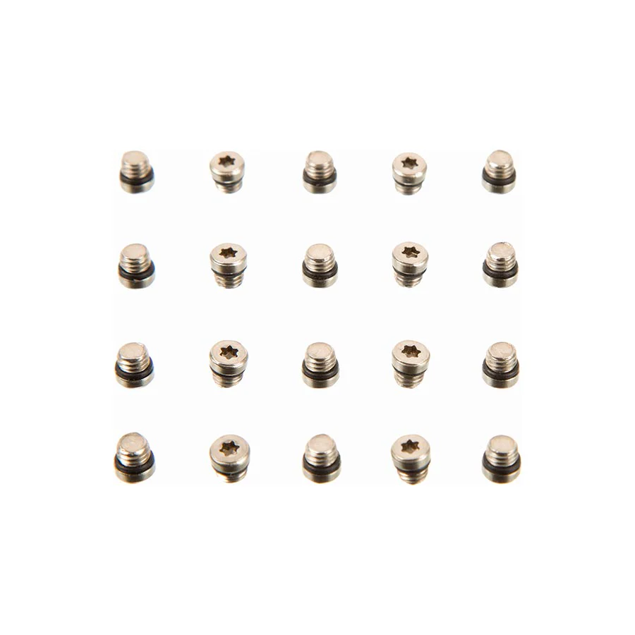 SRAM Lever Bleed Screw 20pcs